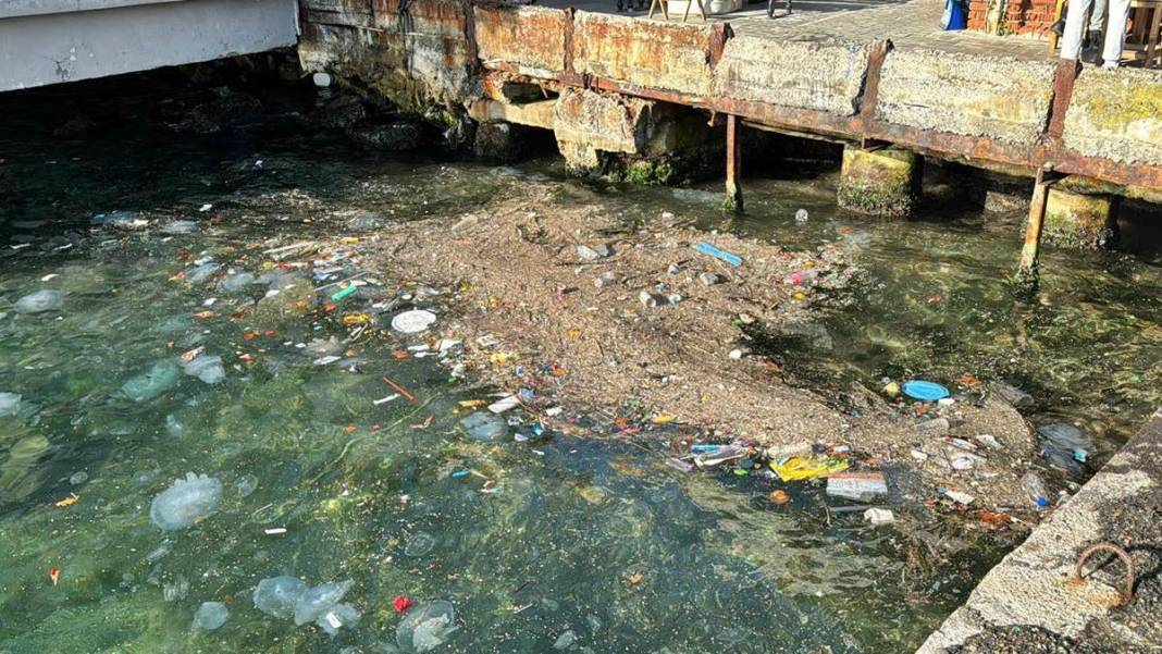 İstanbul'un o ilçesinde mide bulandıran görüntü! Bunu yapan insan olamaz... 4